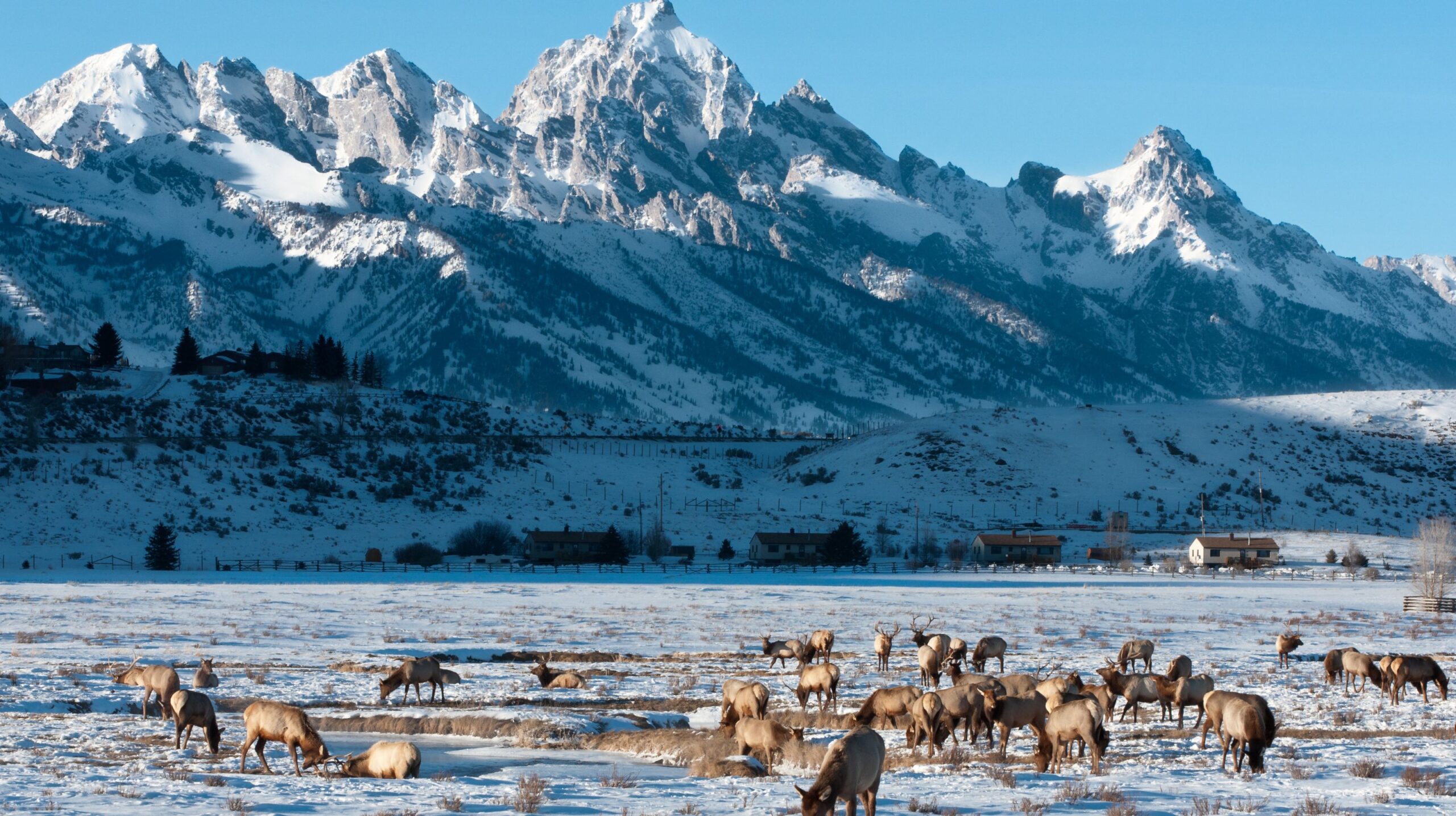 Jackson Hole, Wyoming – A Rugged Western Winter Adventure Winter getaway