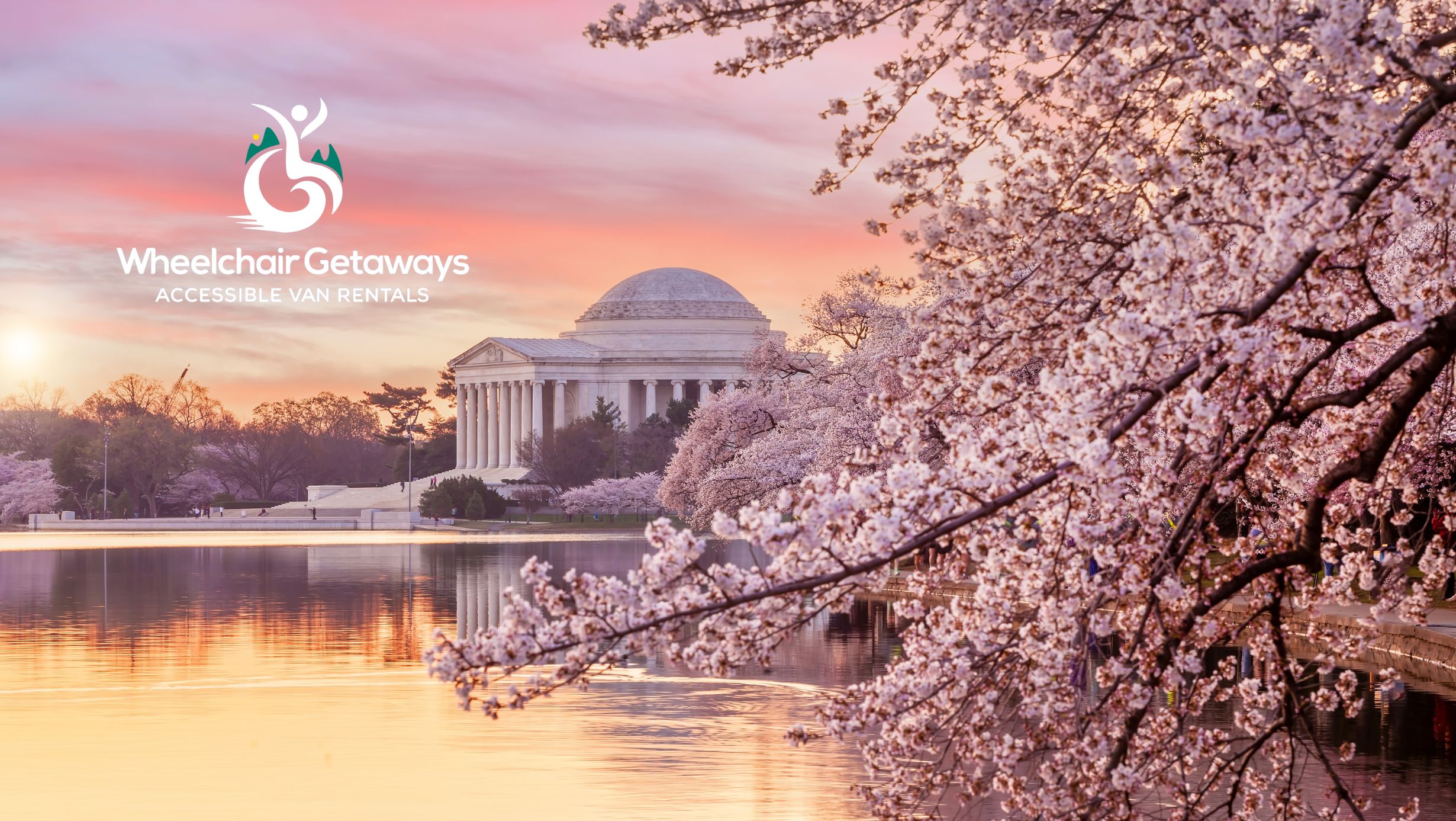 Exploring the Cherry Blossom Season in Washington, D.C.