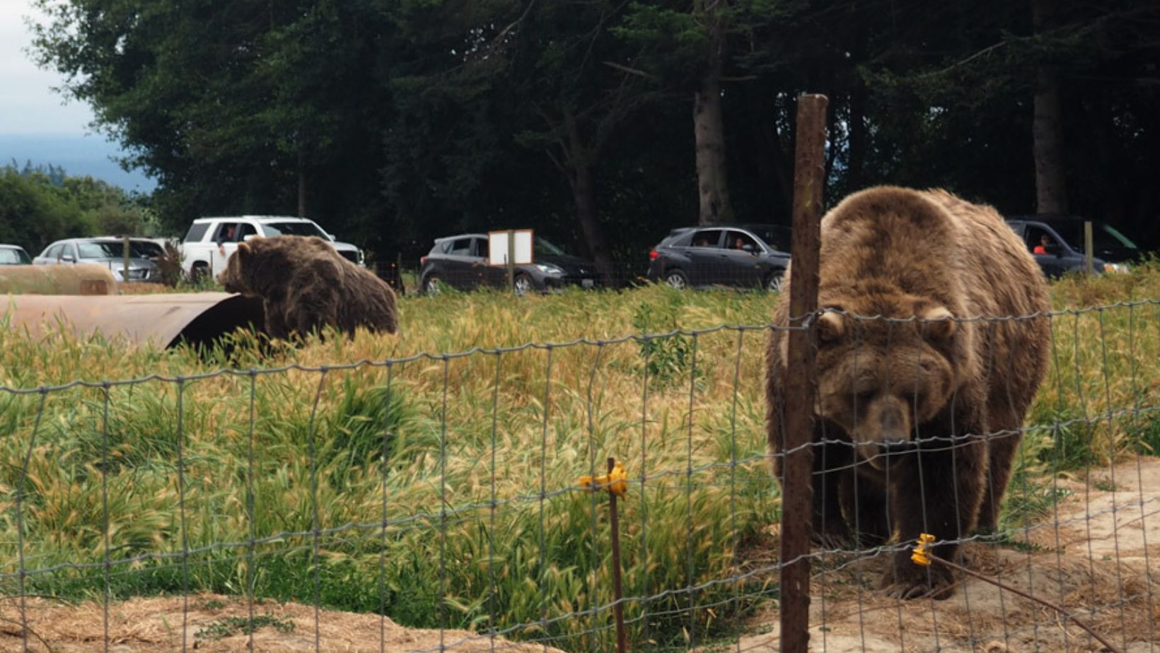 Drive-Thru Wildlife Refuges