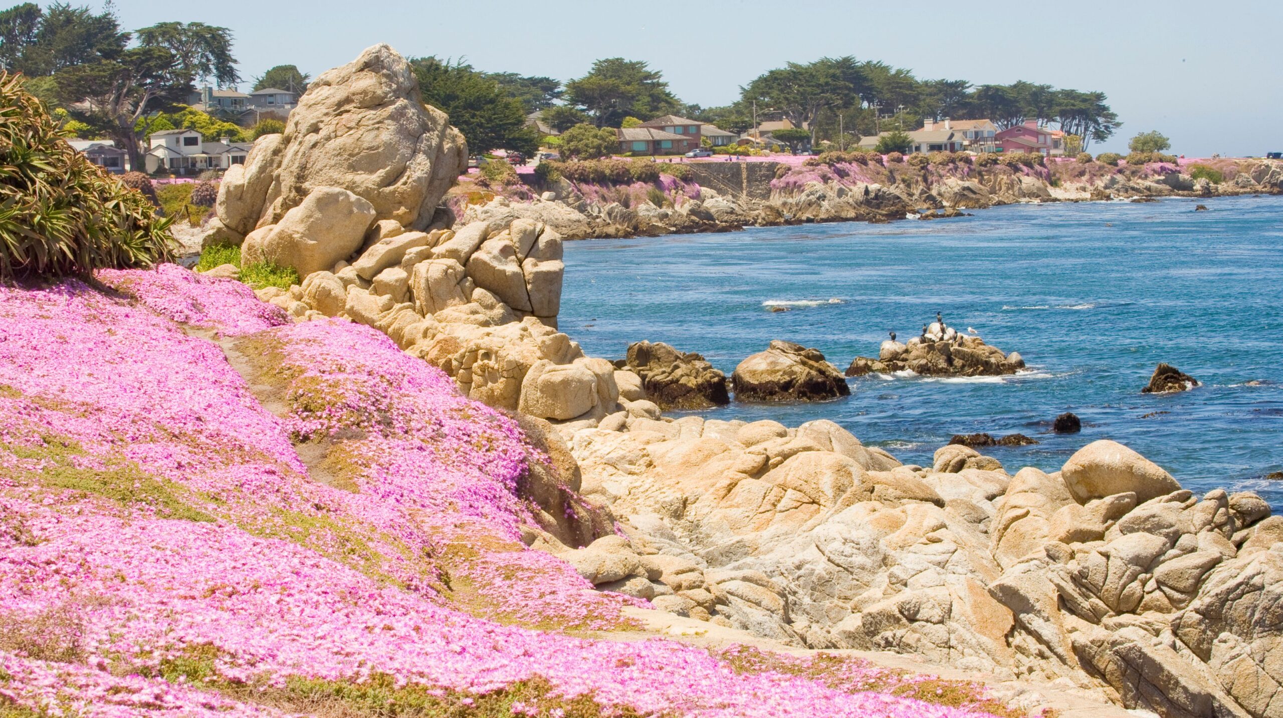 Monterey & Pacific Grove, California Accessible Thanksgiving Getaways