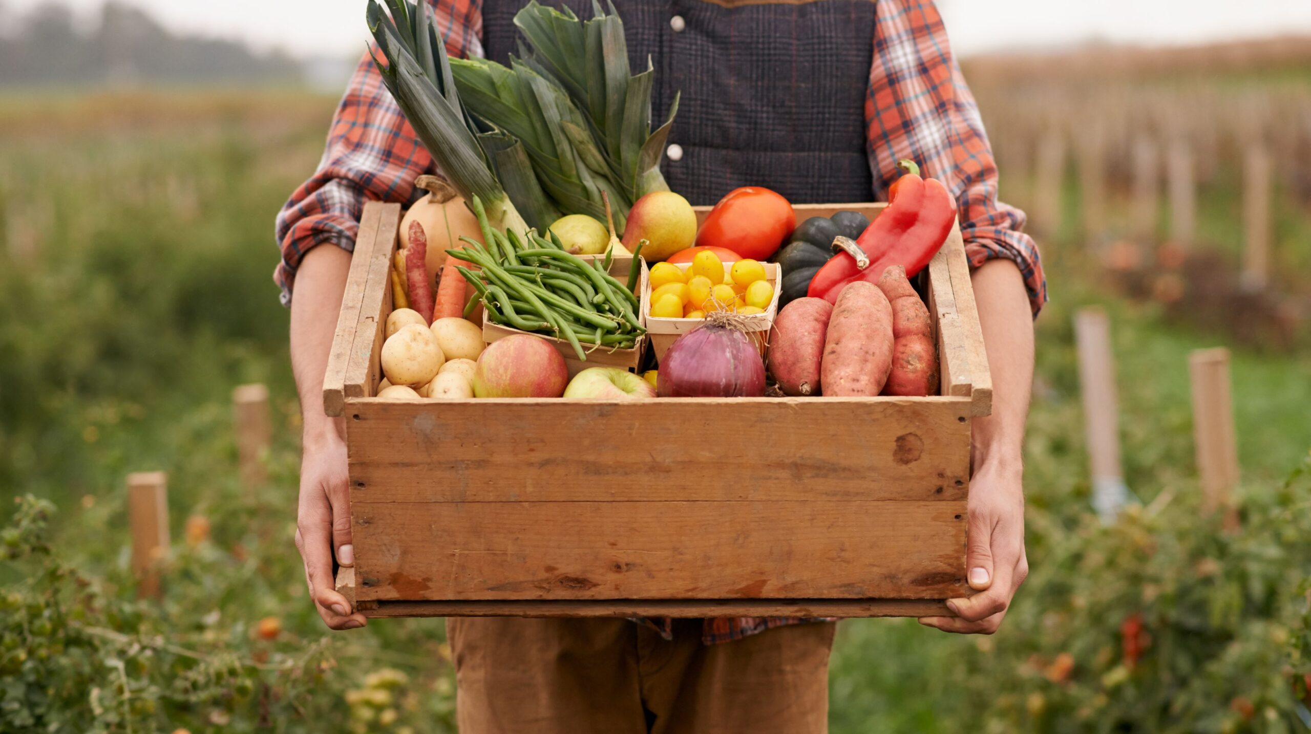 Accessible farm to table experiences