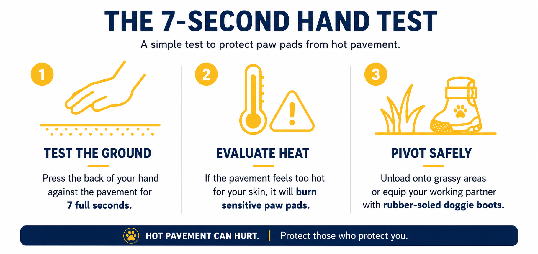 Info Traveling With Service Animals: Hot Weather Comfort and Vehicle Planning